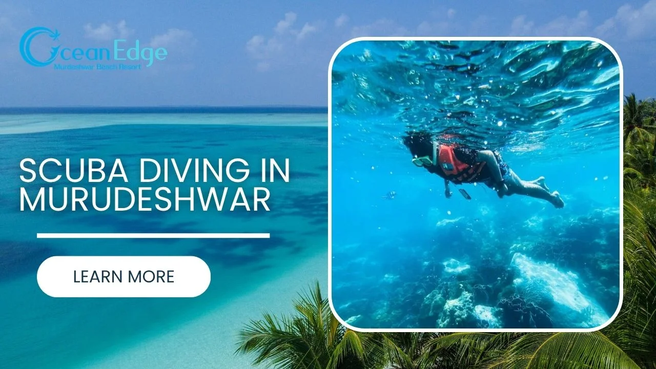 Scuba Diving in Murudeshwar: Price & Best Time